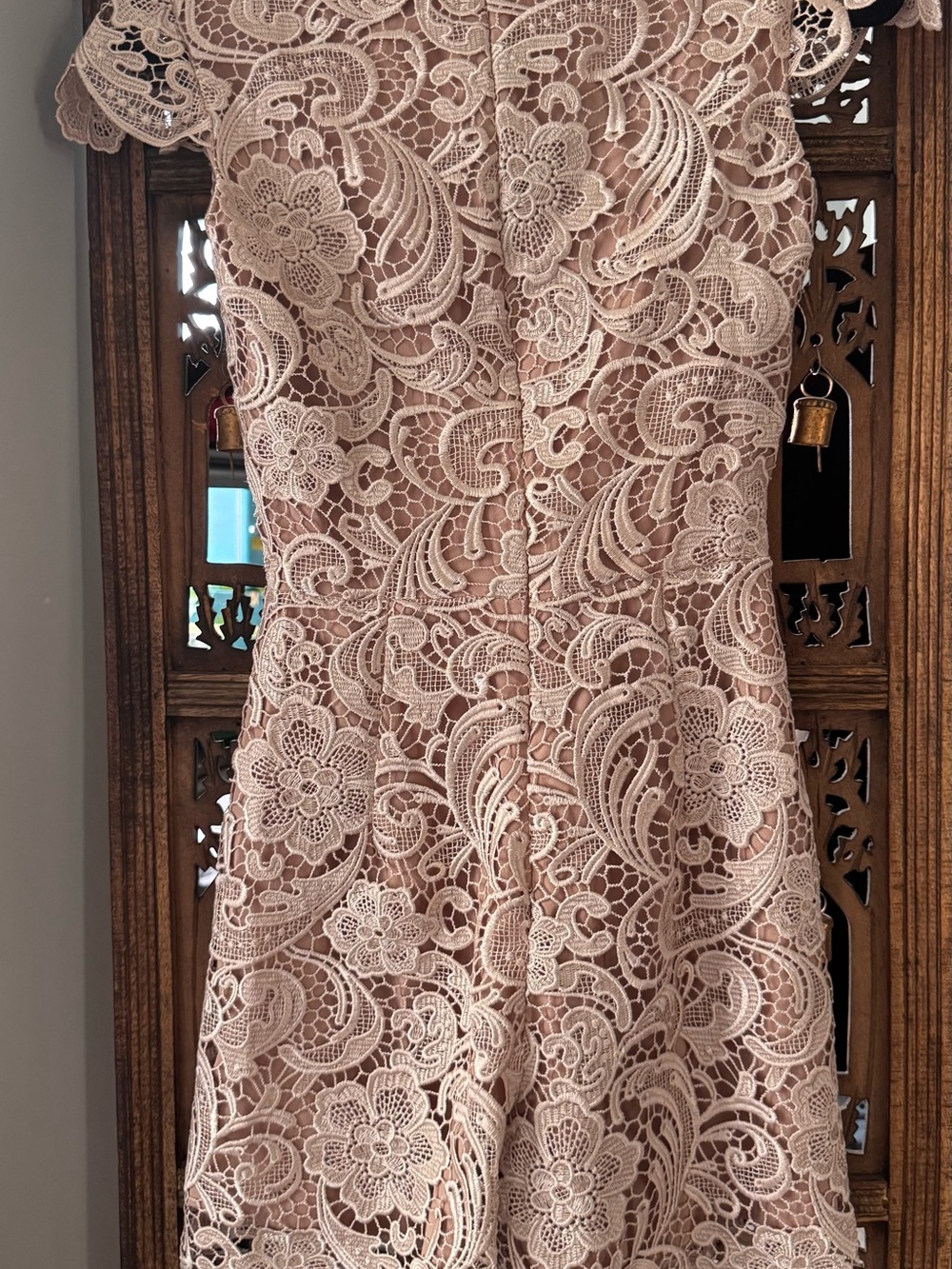 Dress the Population Rose Blush Lace V-Neck romper - Picture 2 of 3